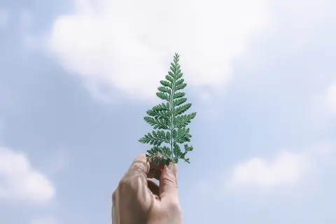 현대교회 사진